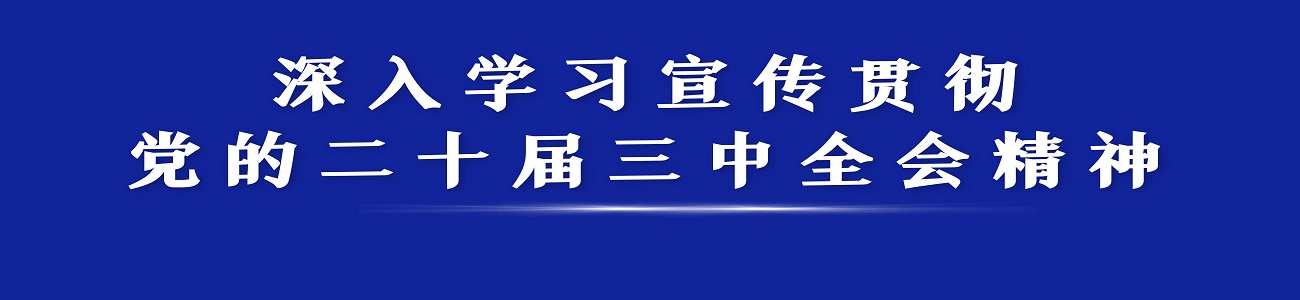 财务处召开业务工作推进会